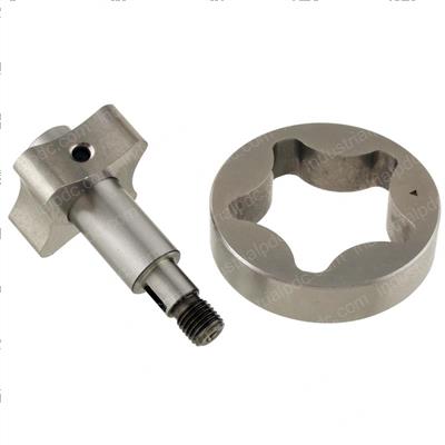 Picture of Rotor Assembly - Oil Pump