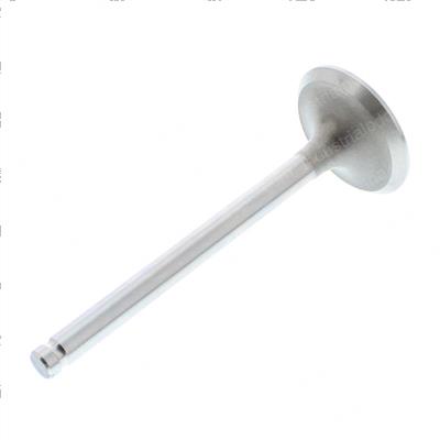 Picture of Valve - Exhaust