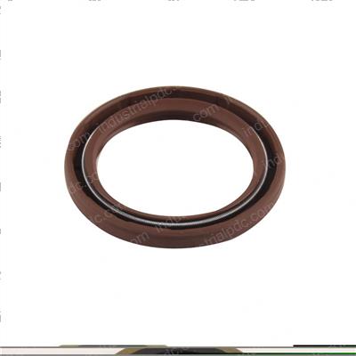 Picture of Seal - Oil