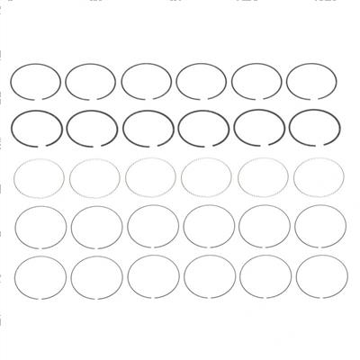 Picture of Piston Ring Set 6 Cyl Std