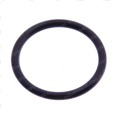 Picture of O-Ring