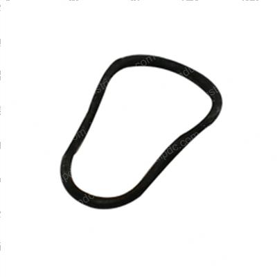 Picture of O-Ring