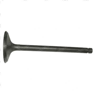 Picture of Valve - Intake