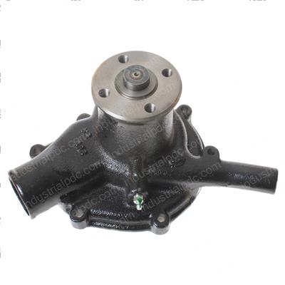 Picture of Pump - Water