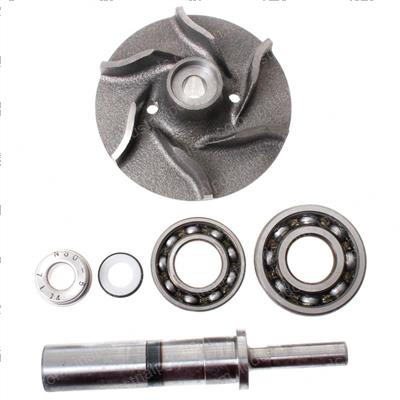 Picture of Pump Kit - Water