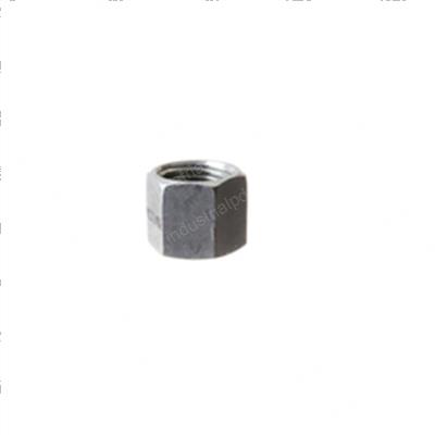 Picture of Hydraulic Fitting 4ffor-Cap