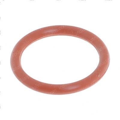 Picture of O-Ring