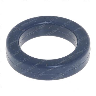 Picture of O-Ring