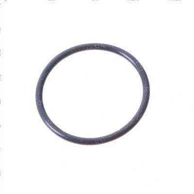 Picture of O-Ring