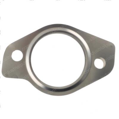 Picture of Gasket