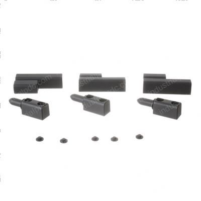 Picture of Hinge Kit - Rear Door
