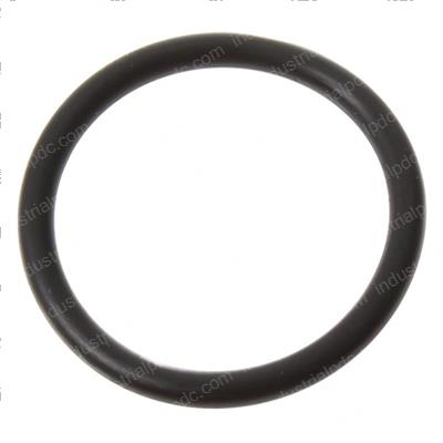 Picture of O-Ring