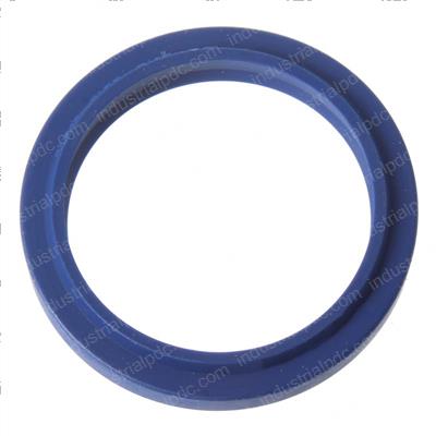 Picture of Dust Ring