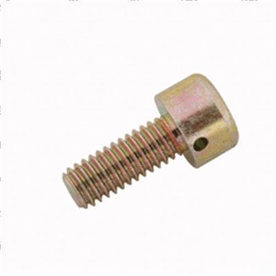 Picture of Screw