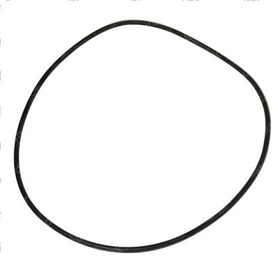 Picture of O-Ring