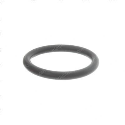 Picture of O-Ring - Metric