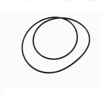 Picture of O-Ring