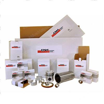 Picture of Engine Overhaul Kit, Major