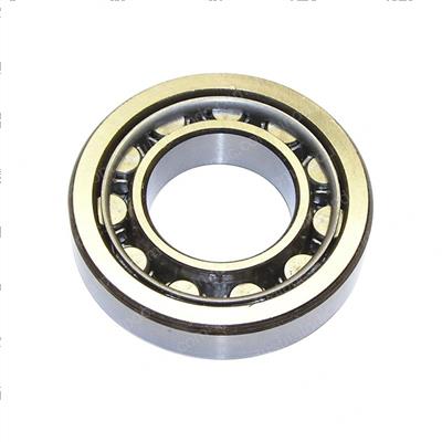 Picture of Bearing - Roller Cylindrical