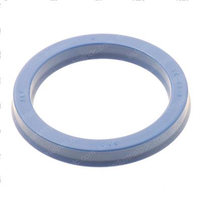 Picture of Seal - Lip