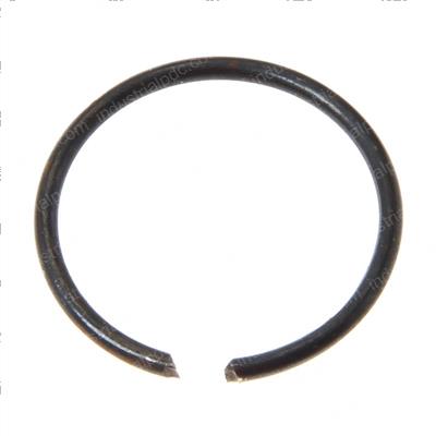 Picture of Ring-Snap