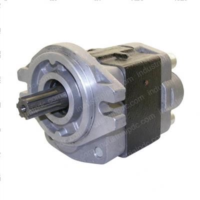 Picture of Gear Pump