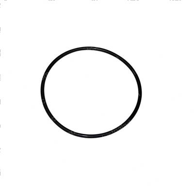 Picture of O-Ring