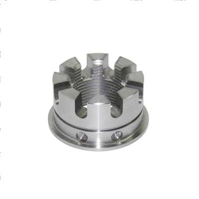 Picture of Castellated Nut