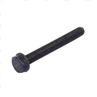Picture of Bolt
