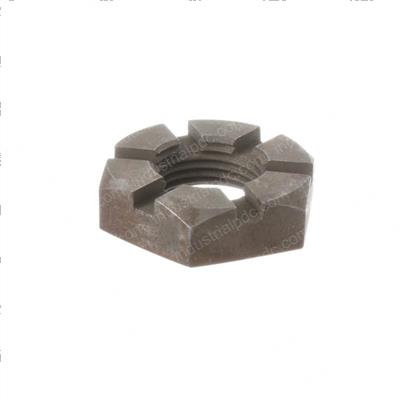 Picture of Nut - Special