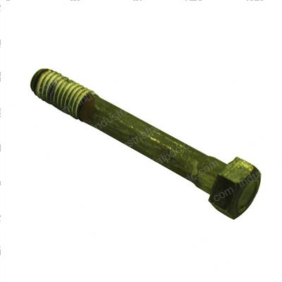 Picture of Bolt