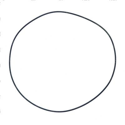 Picture of O-Ring