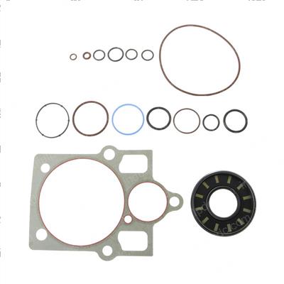 Picture of Seal Kit - Drive Motor