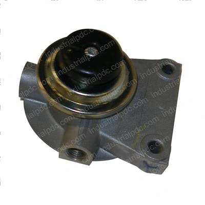 Picture of Head