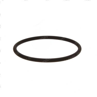 Picture of O-Ring