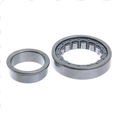 Picture of Bearing
