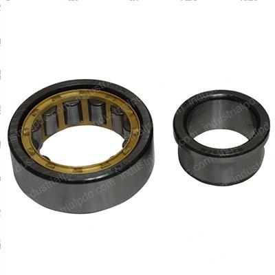 Picture of Bearing - Roller Clyindrical