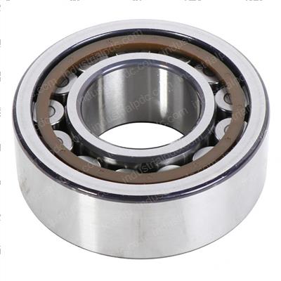 Picture of Bearing