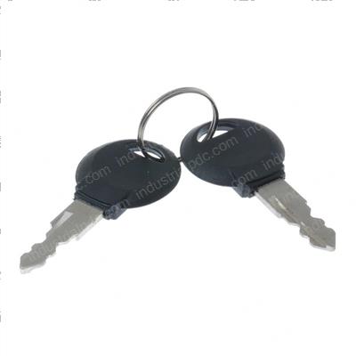 Picture of Key