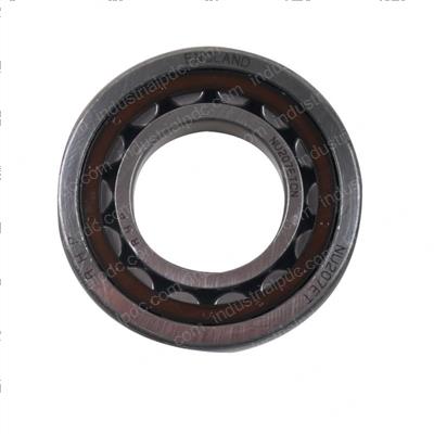 Picture of Bearing - Roller Cylindrical