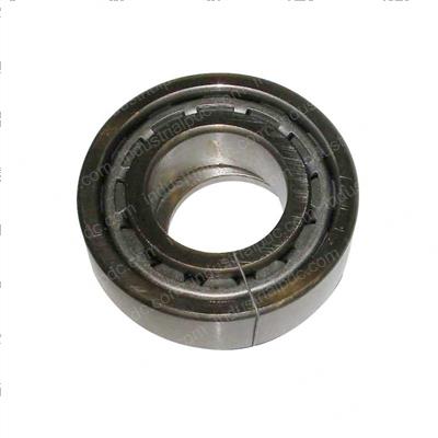 Picture of Bearing - Roller Cylindrical