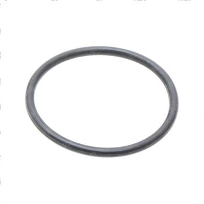 Picture of O-Ring