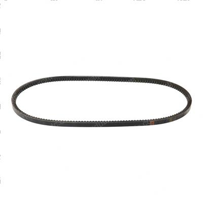 Picture of Belt