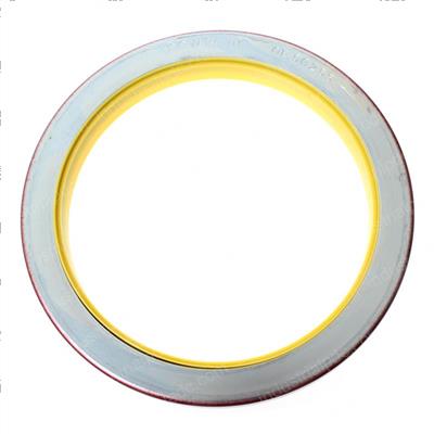 Picture of Seal-Rear