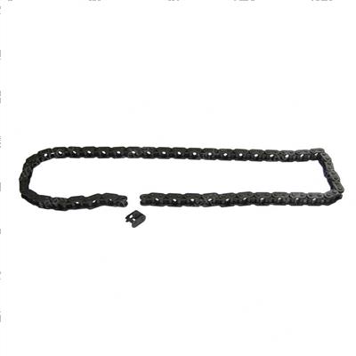 Picture of Chain - Timing