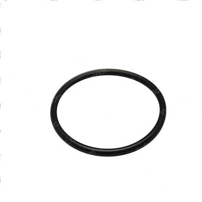 Picture of O-Ring