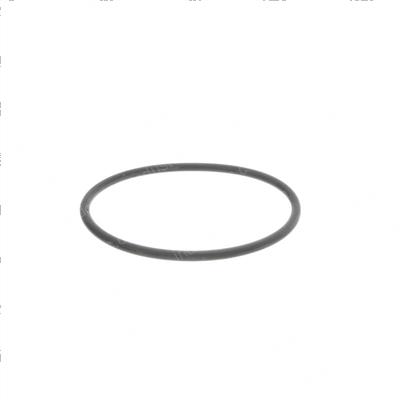 Picture of O-Ring