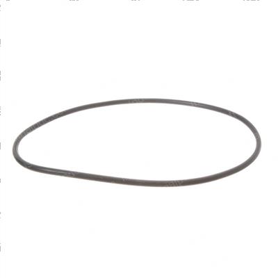 Picture of O-Ring