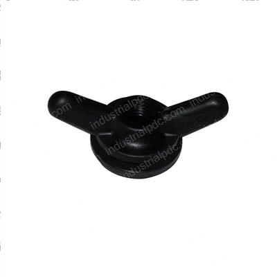Picture of Wingnut