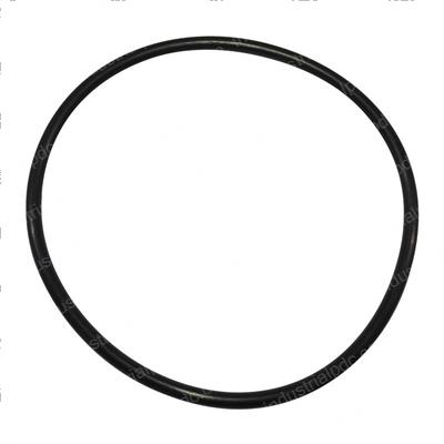 Picture of O-Ring
